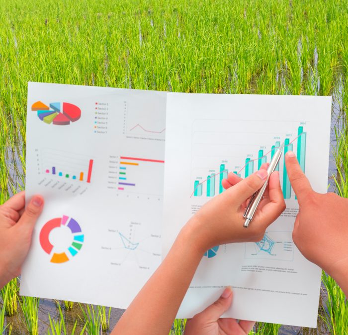 Exportações de arroz têm forte aumento em abril
